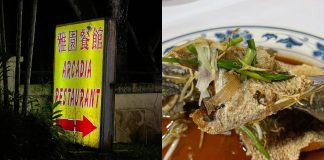 Deep fried fish and Arcadia signage