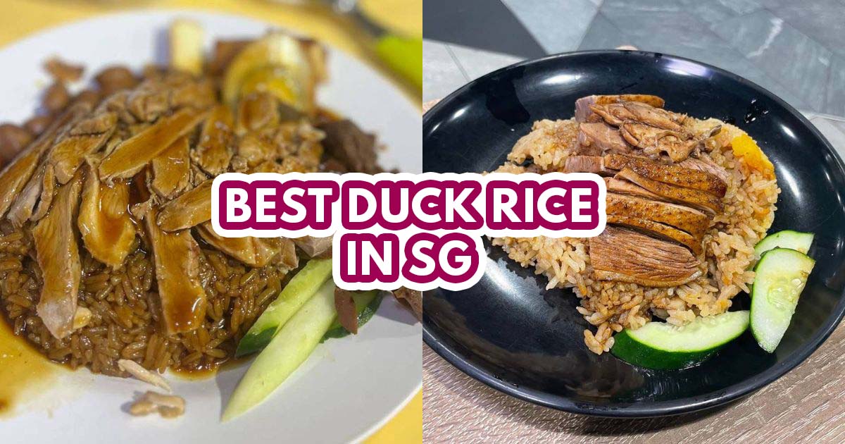 Top 12 Duck Rice Stalls - Featured Image