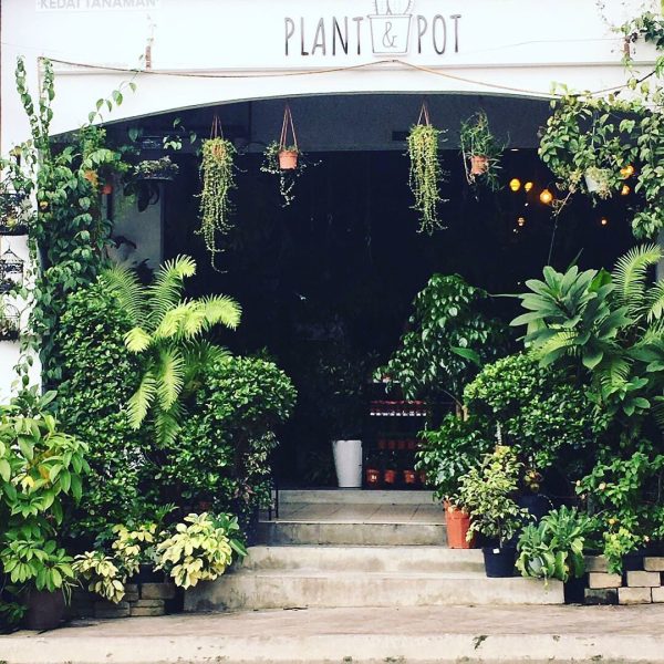 Plant & Pot Studio - storefront 