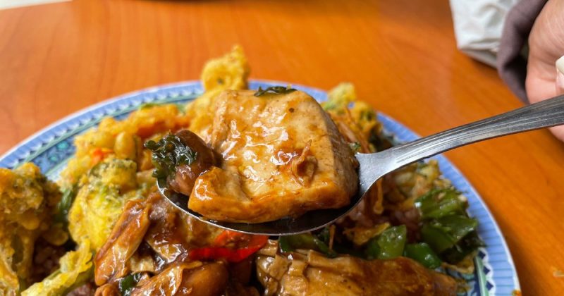Yi Xin Vegetarian – A picture of the braised tofu