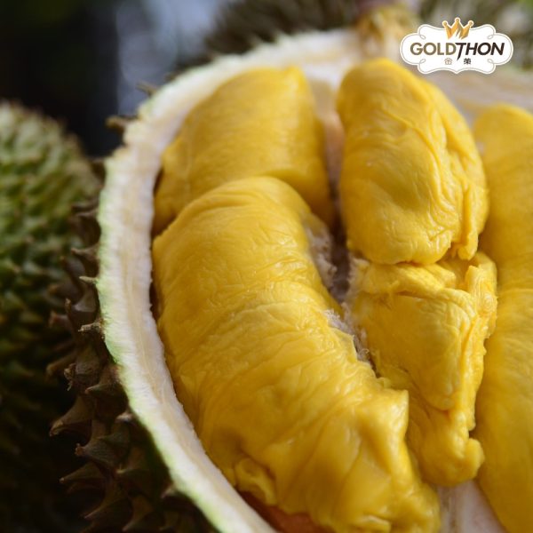 Gold Thon - Durian Klang Valley 