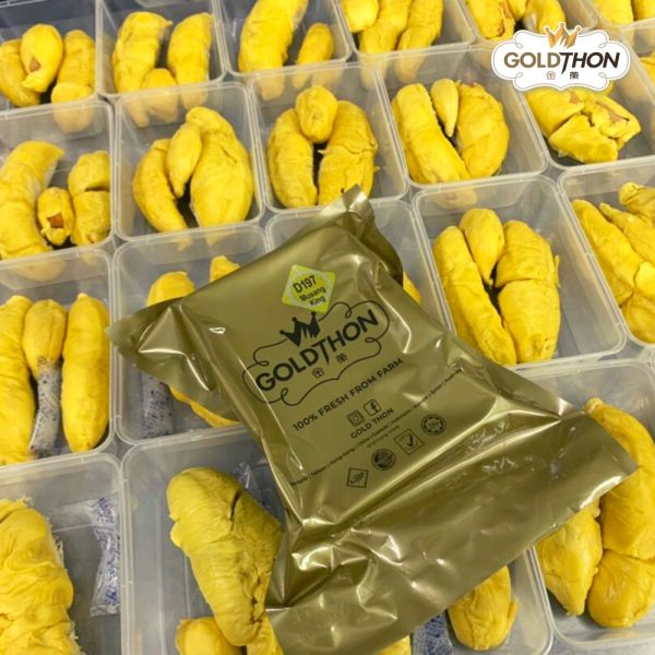 Gold Thon Durian - Durian Klang Valley 
