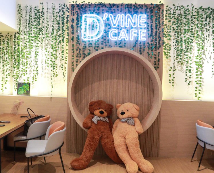 d'vine cafe - teddy bears on chair