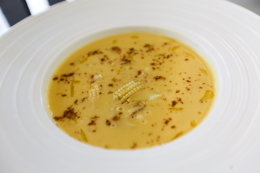 Venus - corn soup