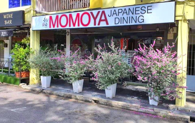 tanah merah - momoya japanese restaurant