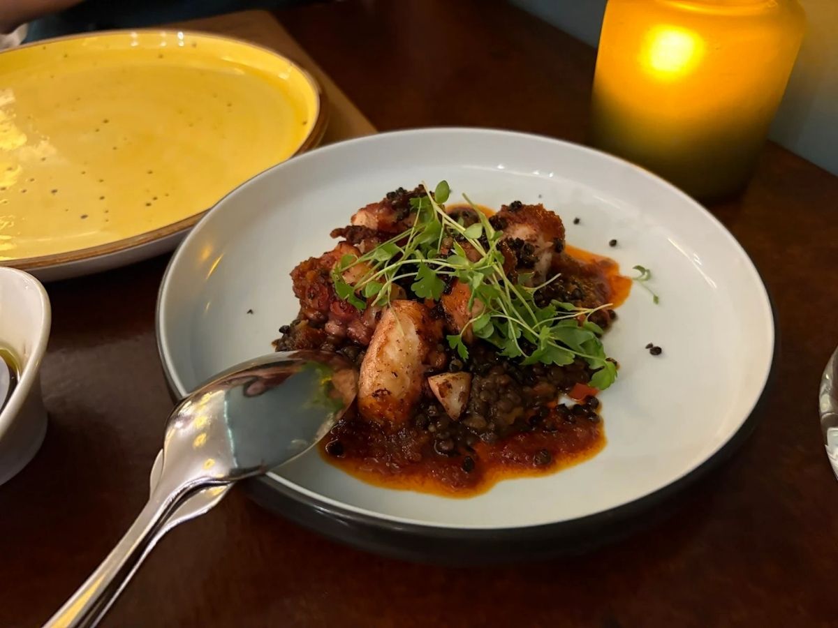 best spanish restaurants - tinto spanish restaurant pulpo a la brasa