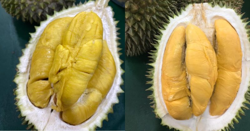 Chen Brothers Durian and Fruit - durian