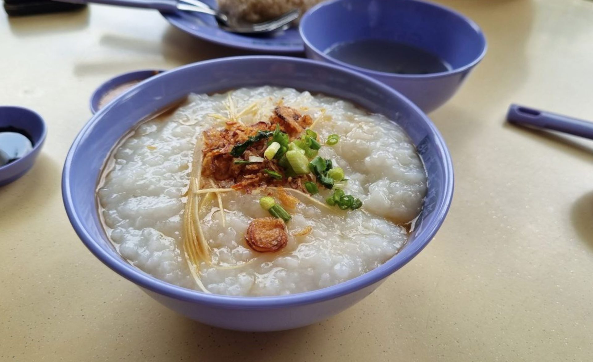 Shun Fa Hainanese Boneless Chicken Rice and Porridge 3