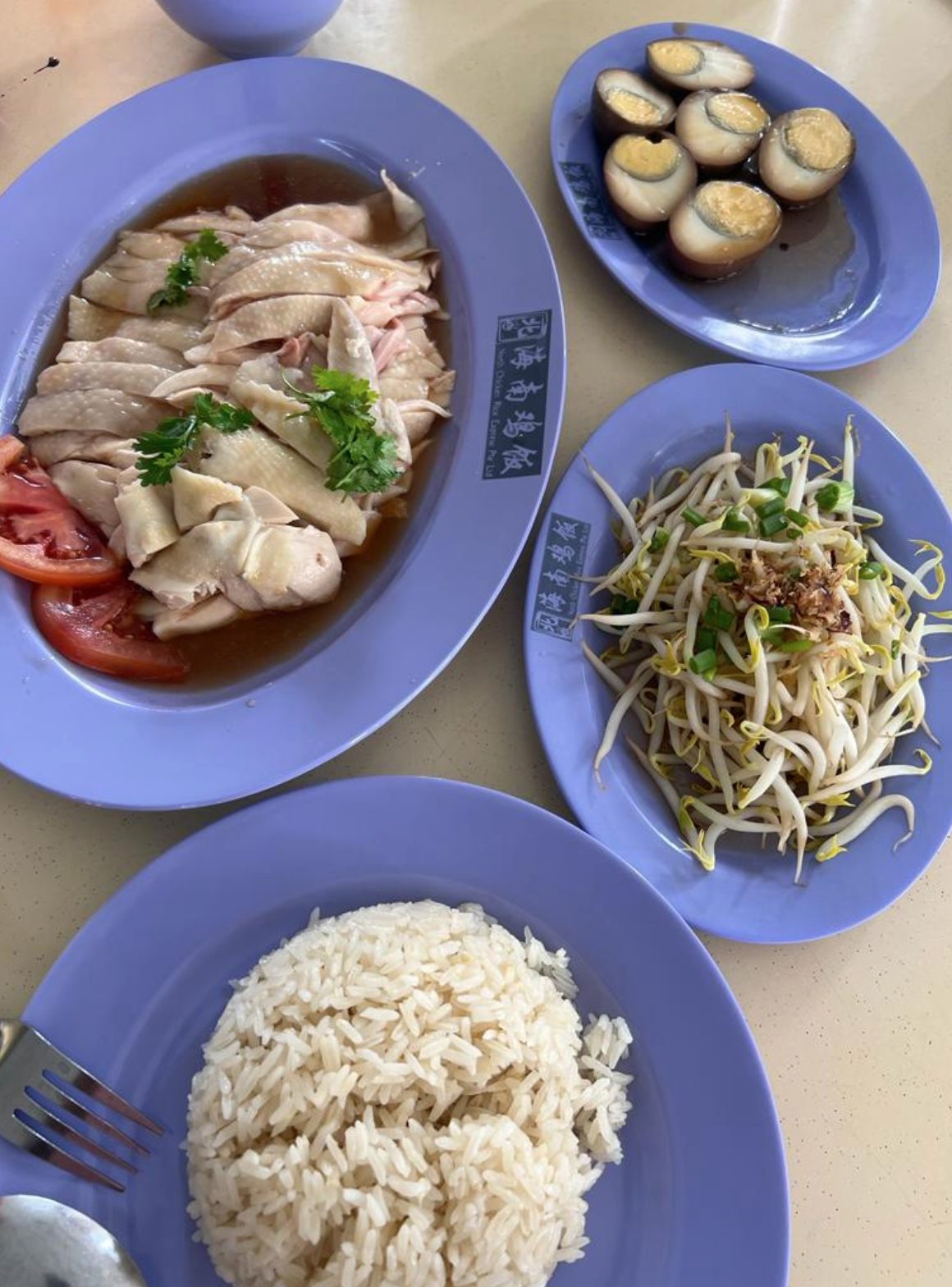 Shun Fa Hainanese Boneless Chicken Rice and Porridge 2