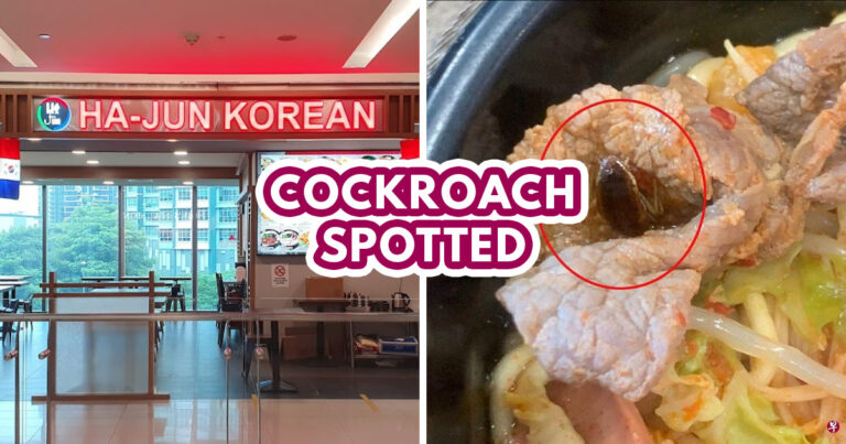 Cockroach in Korean steamboat — Featured Image