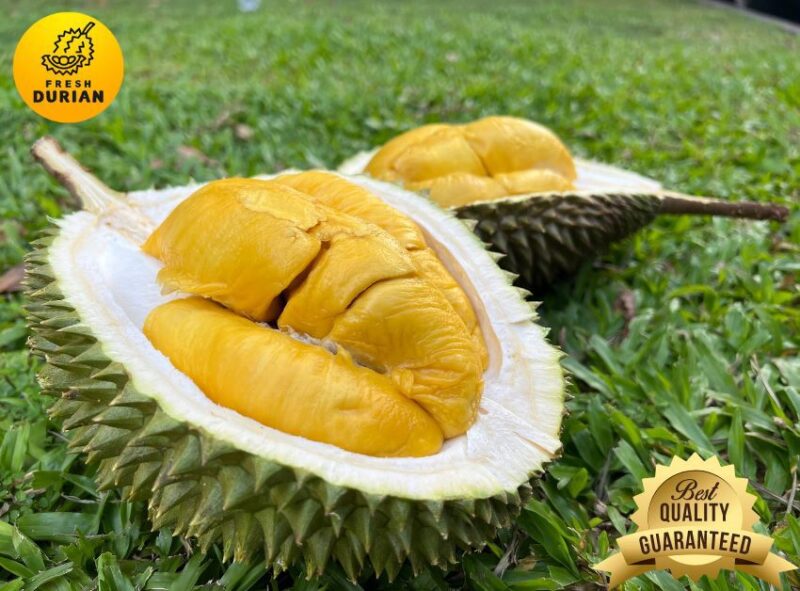 Honest durian sellers - fresh durian