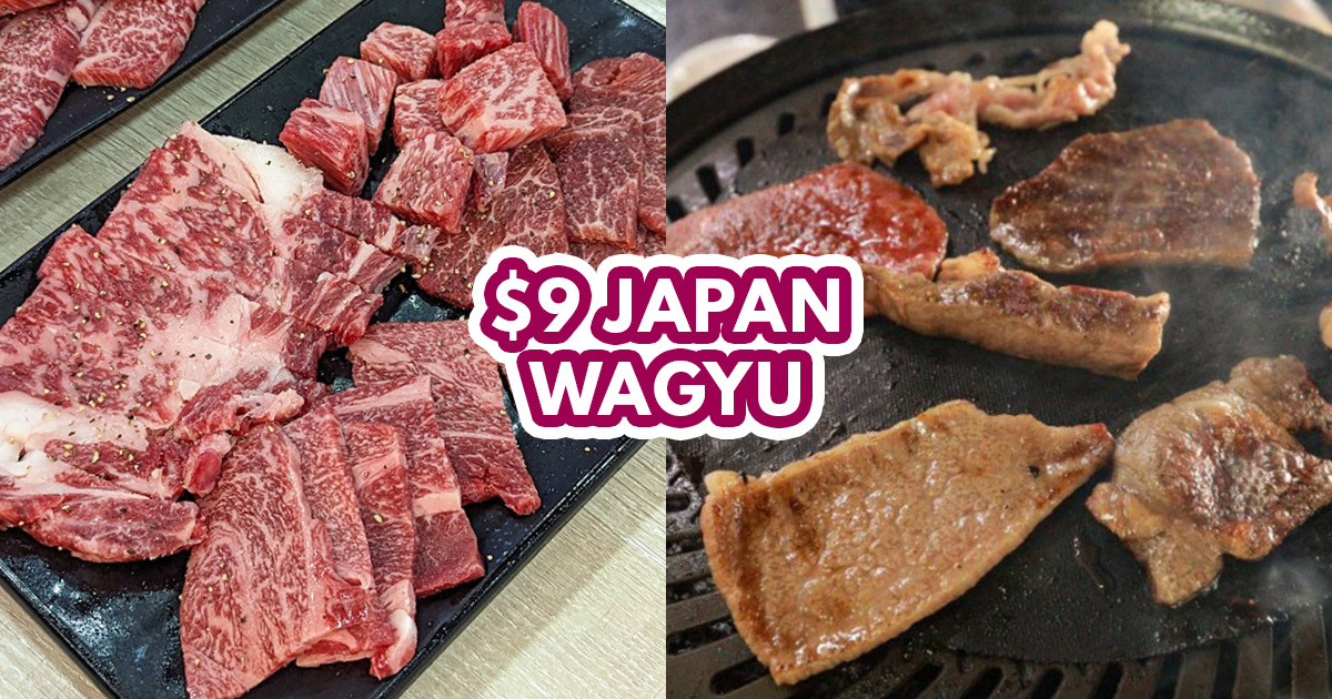 Wano Niku - Featured Image