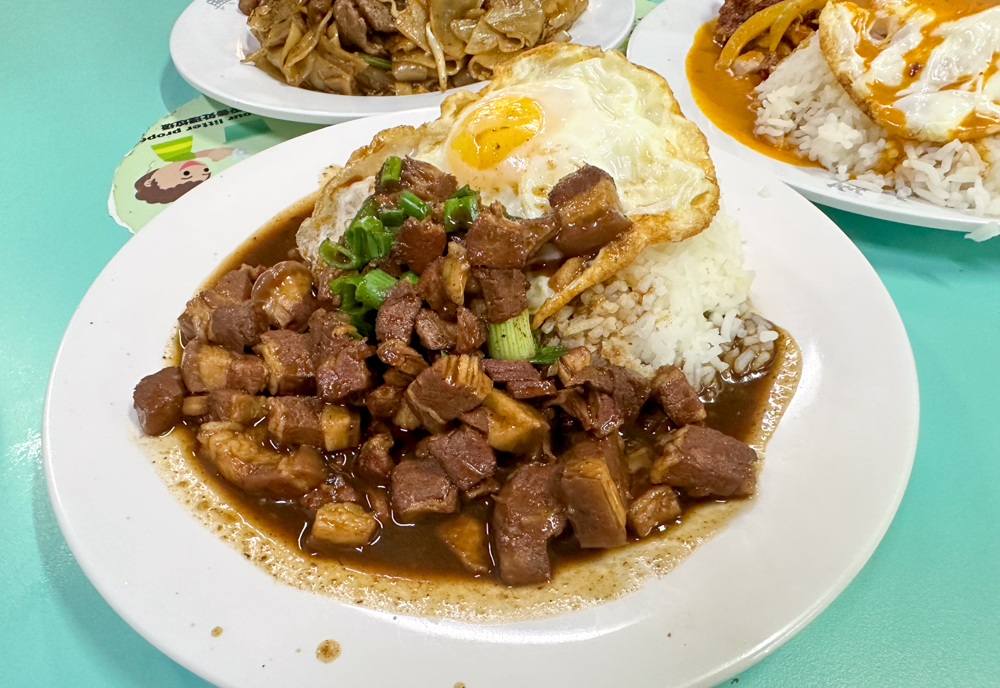 xing wang delights - braised pork rice