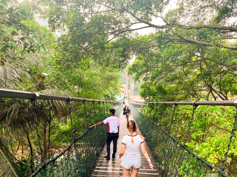 SUNWAY 7 Sunway Lagoon Hanging Bridge