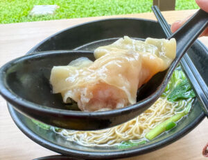 one mouth noodle - wanton dumpling