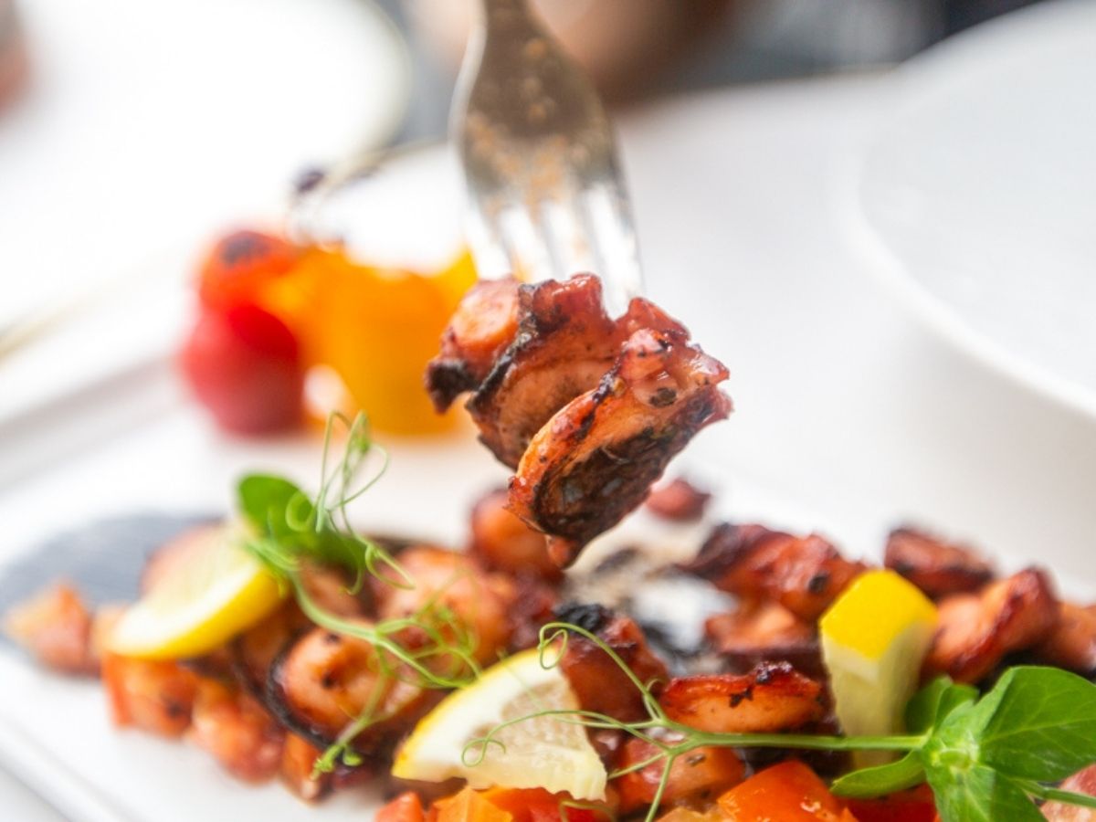 trovato - grilled octopus2