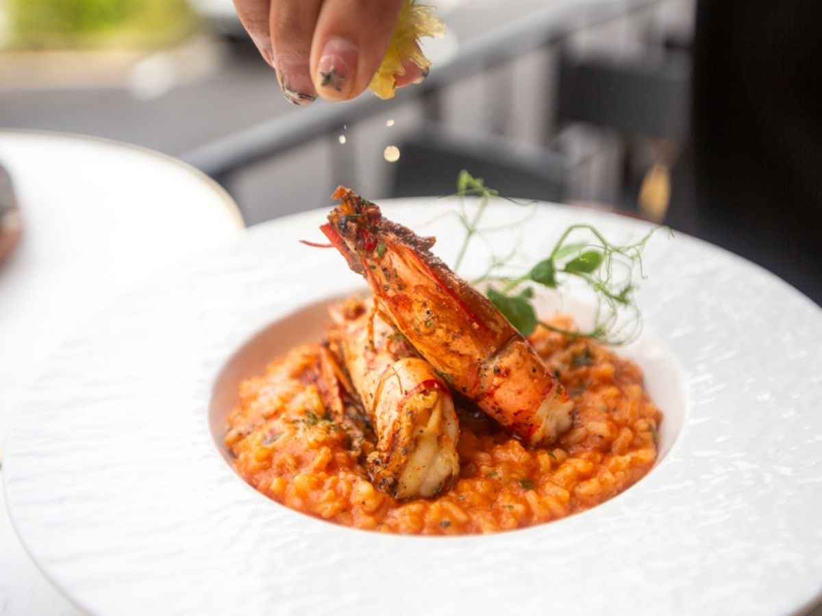 trovato - gamberi risotto