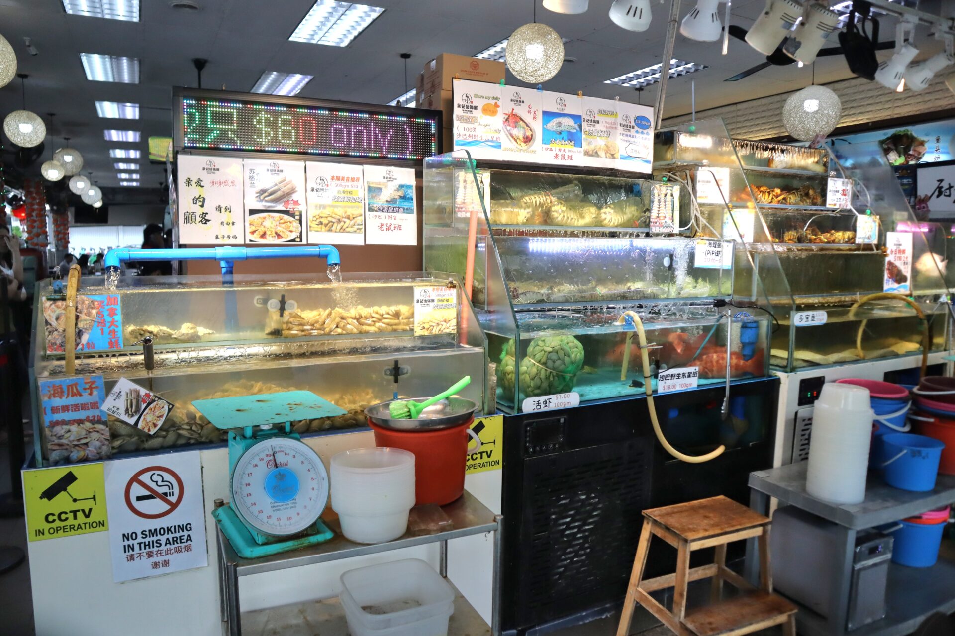 best rated zi char - seafood display