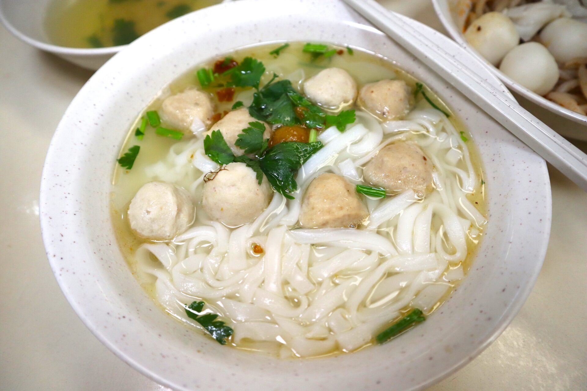 Shan Yuan Teochew Kway Teow Noodle - meatball noodle