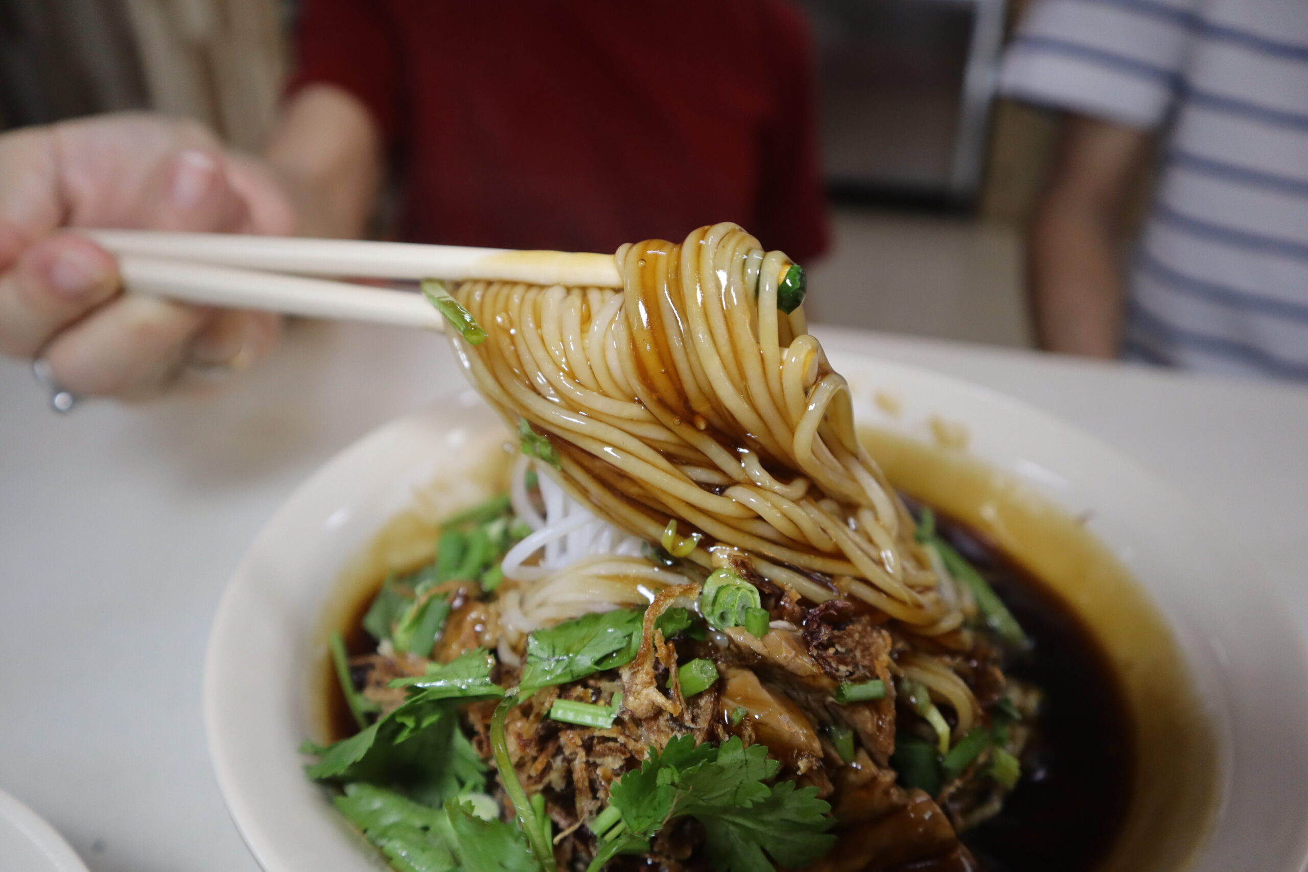 best-rated duck rice - noodles closeup