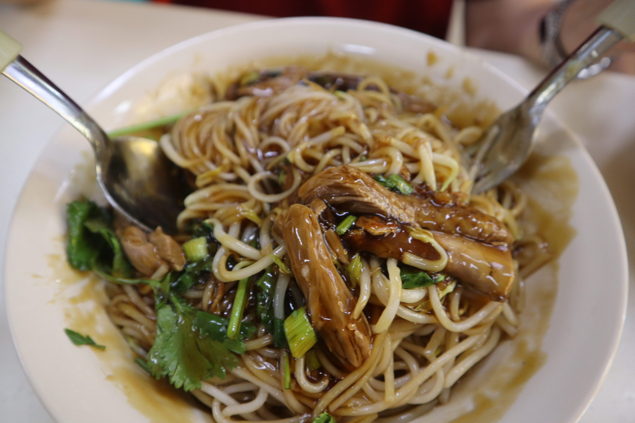 best-rated duck rice - duck noodles tossed