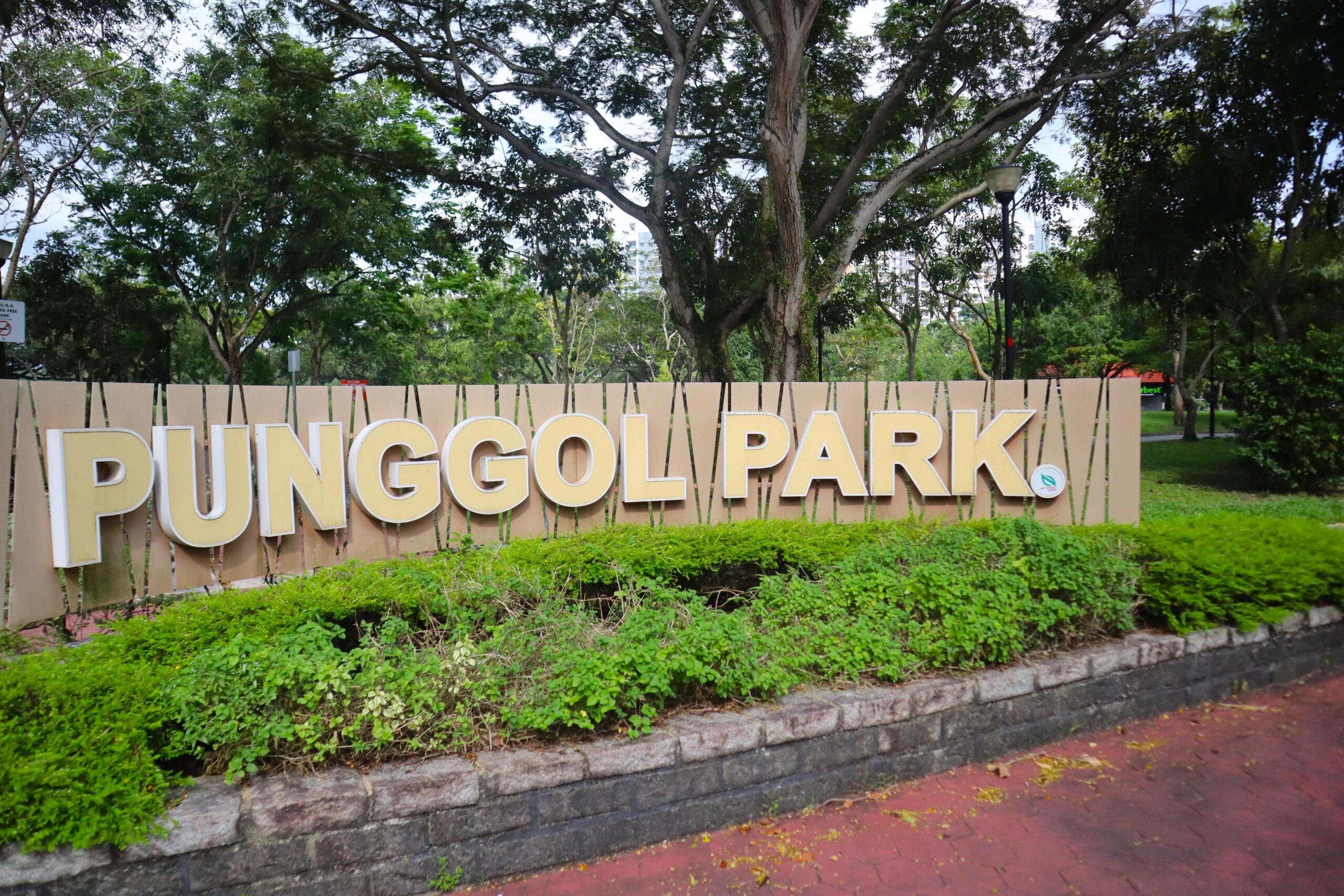 tenderbest hougang - punggol park