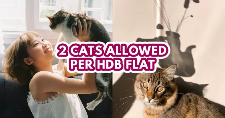 cats allowed in hdb