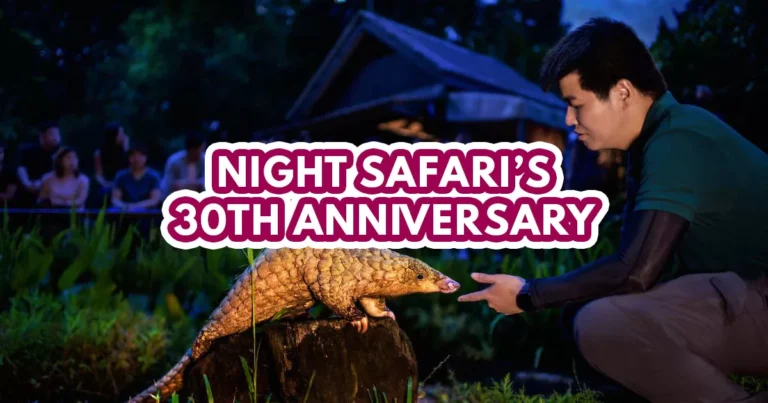 night safari's 30th anniversary - keeper talks