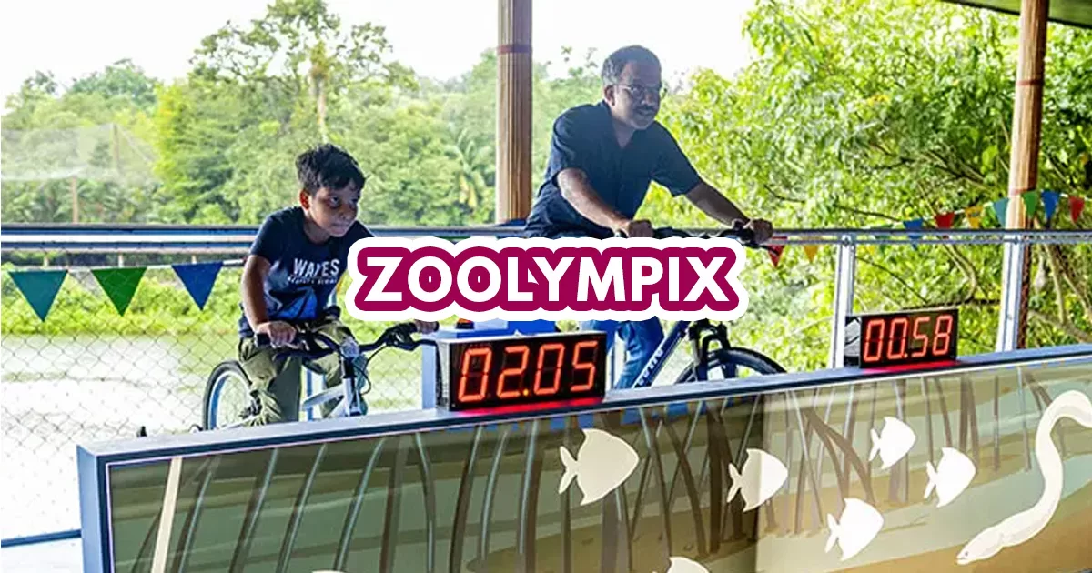 zoolympix - dad and child riding on bike