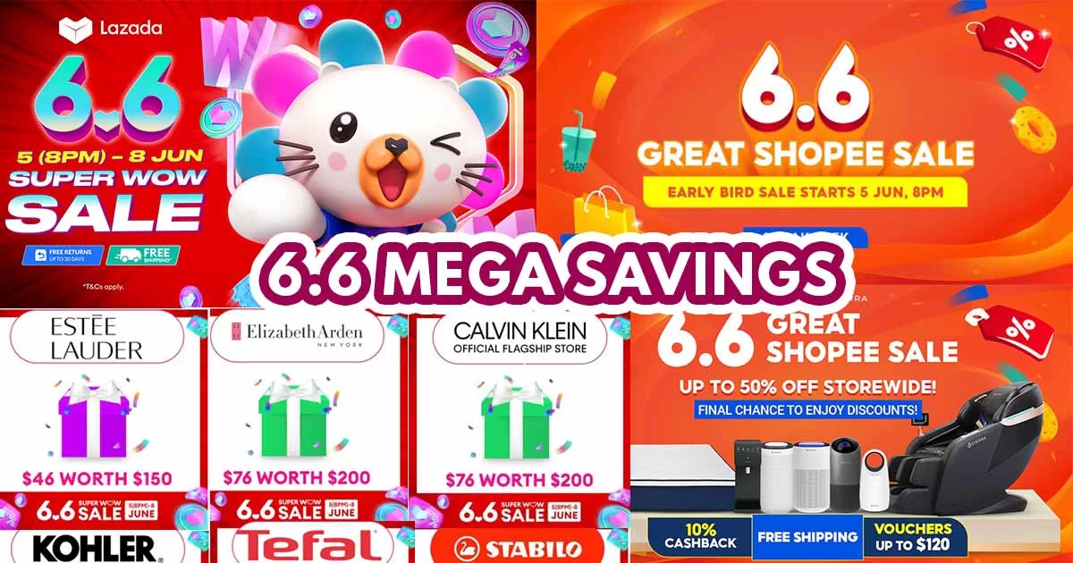 6.6 Sale Featured image