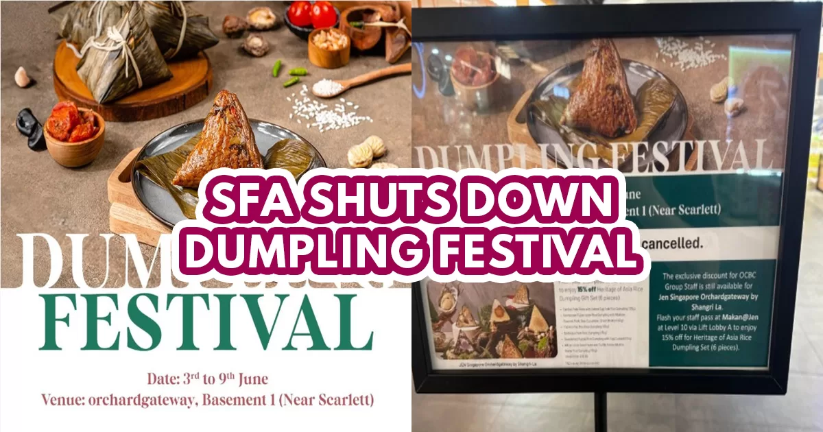 Dumpling festival - featured image