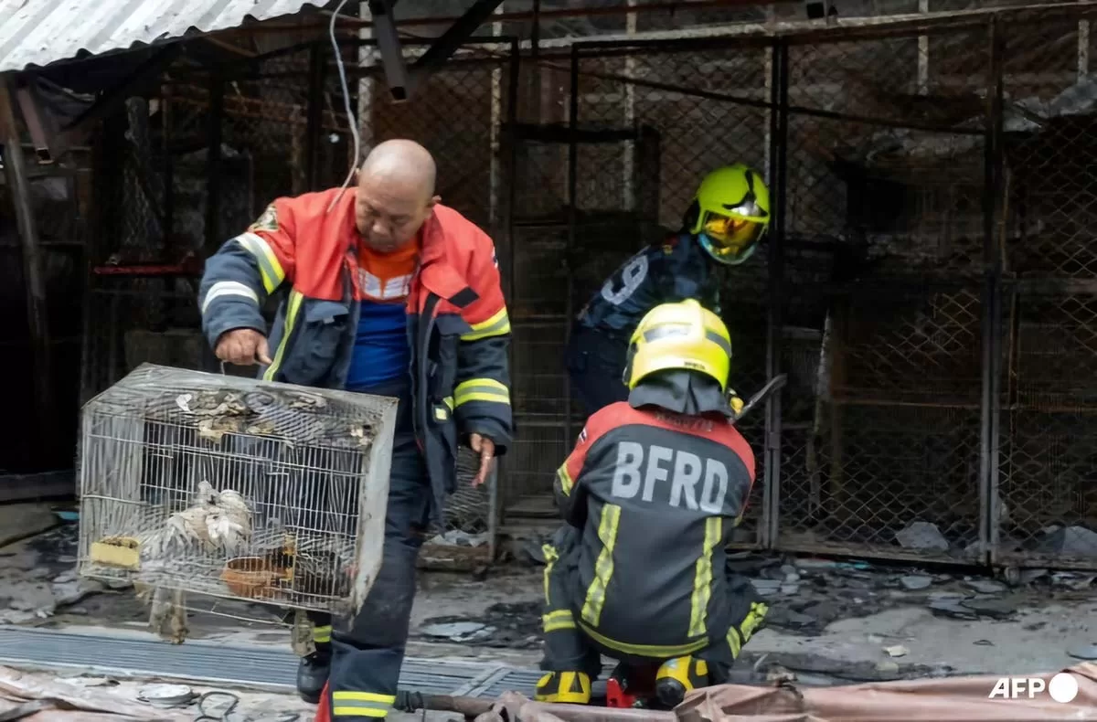 chatuchak fire - rescue operations ongoing