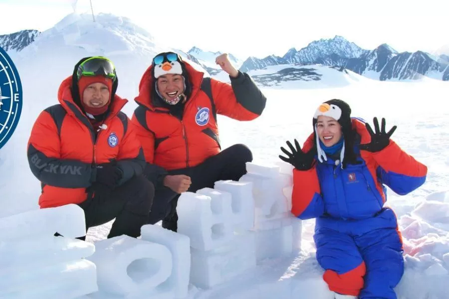 law of the jungle - antarctica