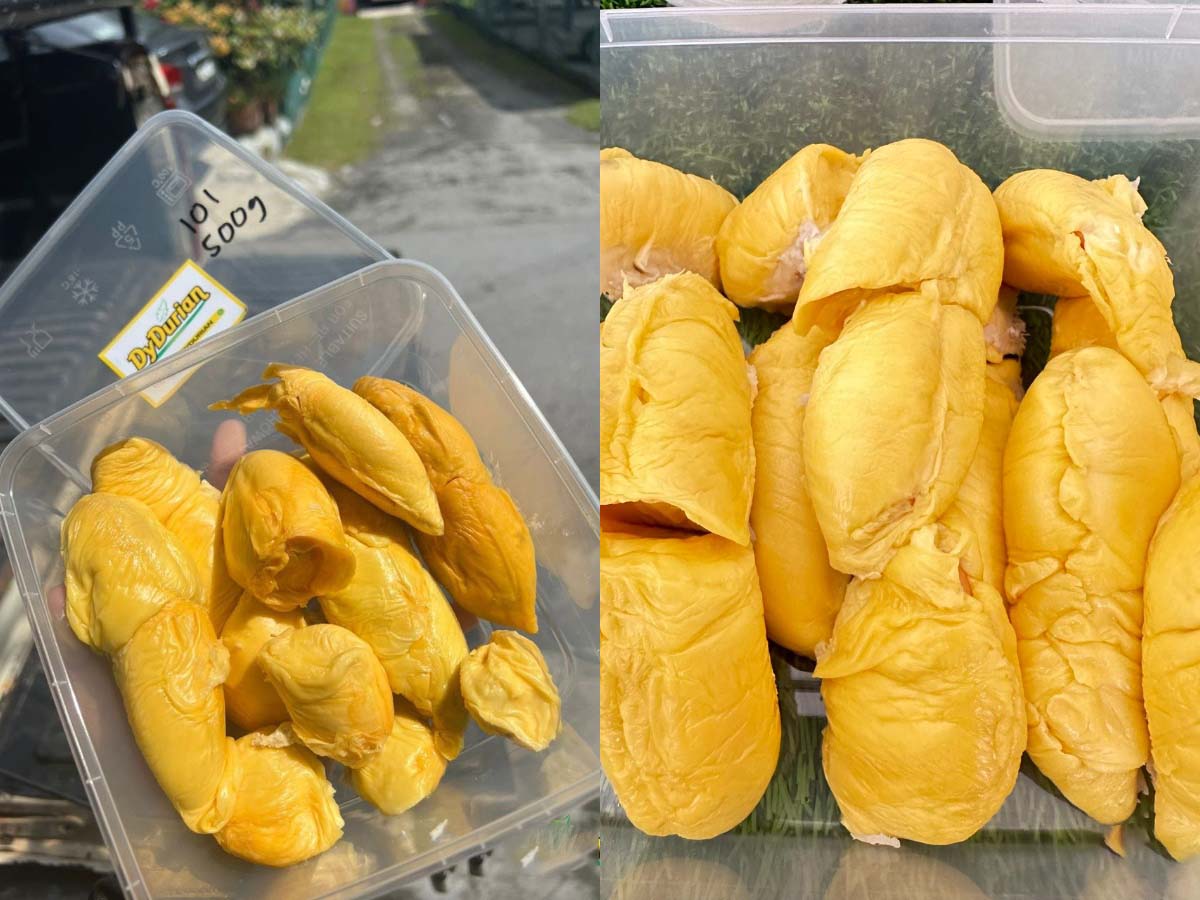 Dy Durian - Durian 2