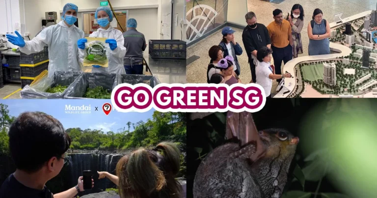 GREEN-HOUSE Sustainability Festival - 2023 Edition