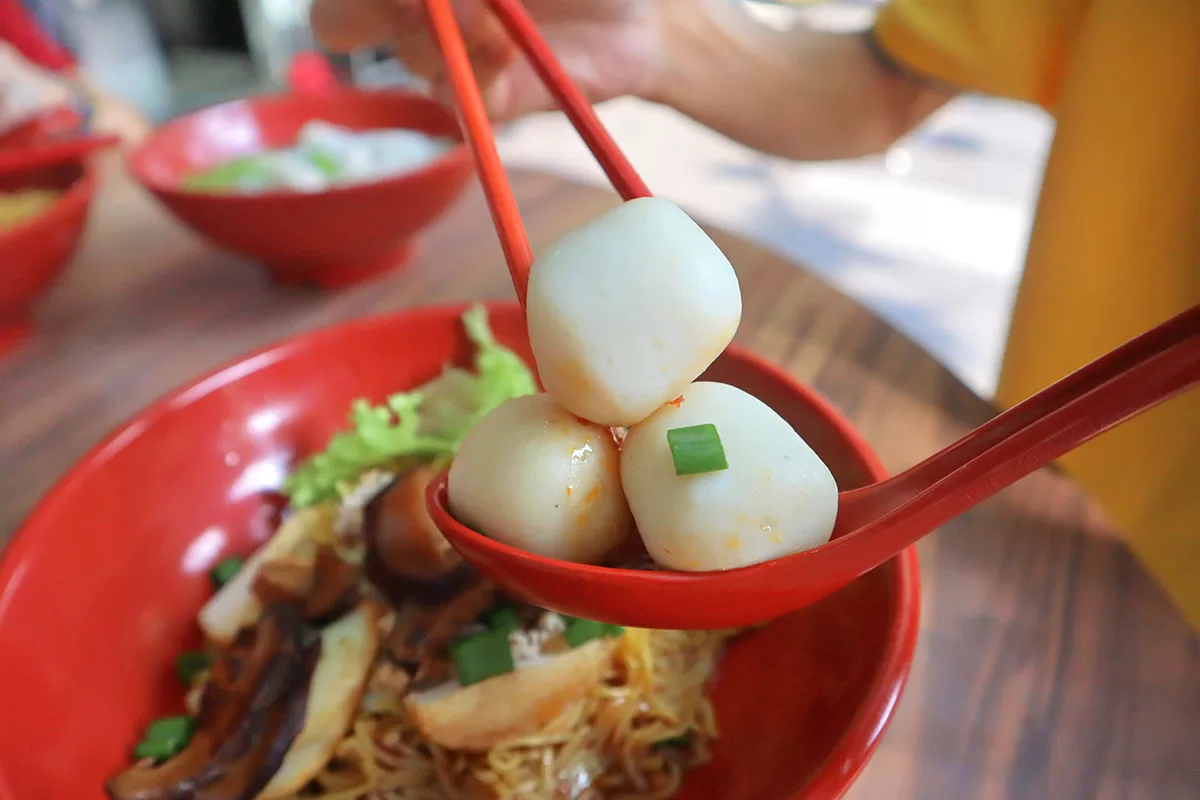 bangbangbcm14 bang bang mushroom bcm - fishballs closeup