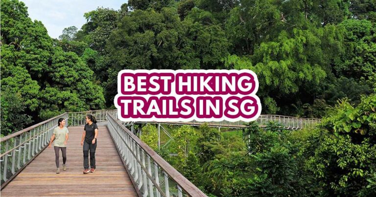 best hiking trail in singapore - featured image