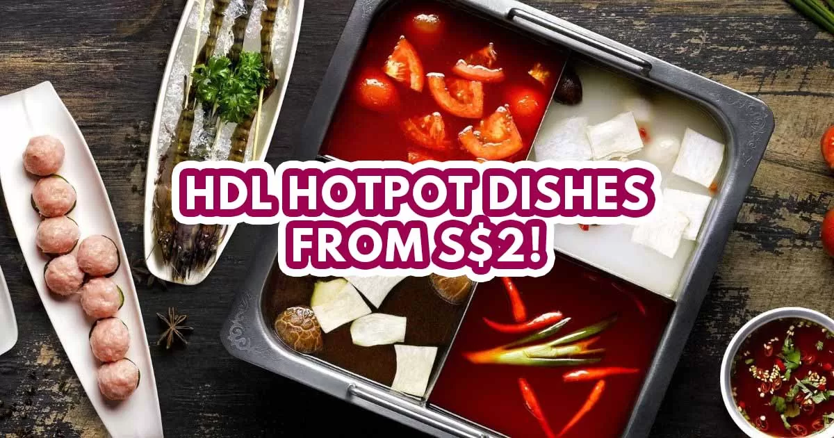 HDL - Featured