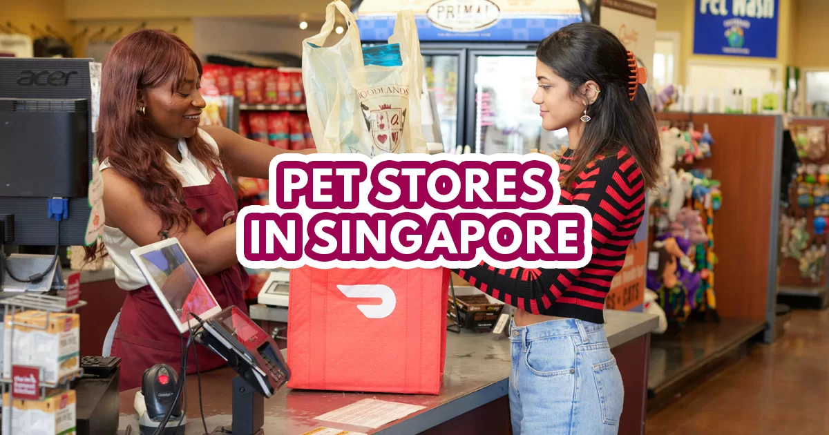 pet store in singapore - featured image
