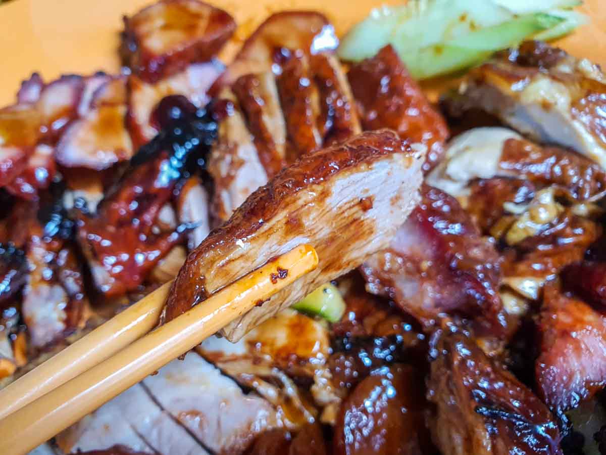 incredible roasted meat - roasted duck closeup