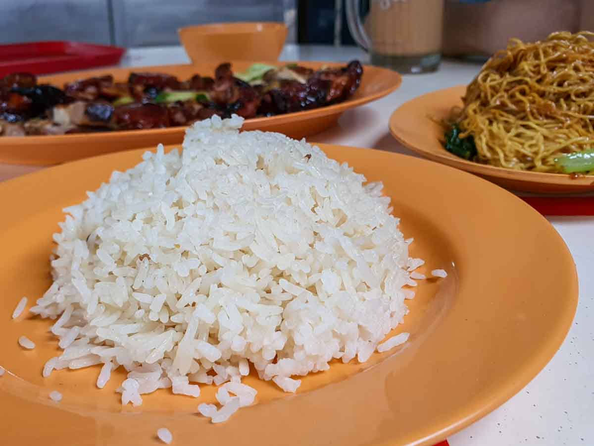 incredible roasted meat - chicken rice closeup