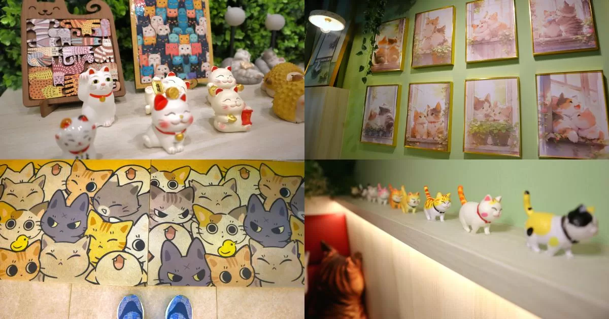 meow dessert - decor