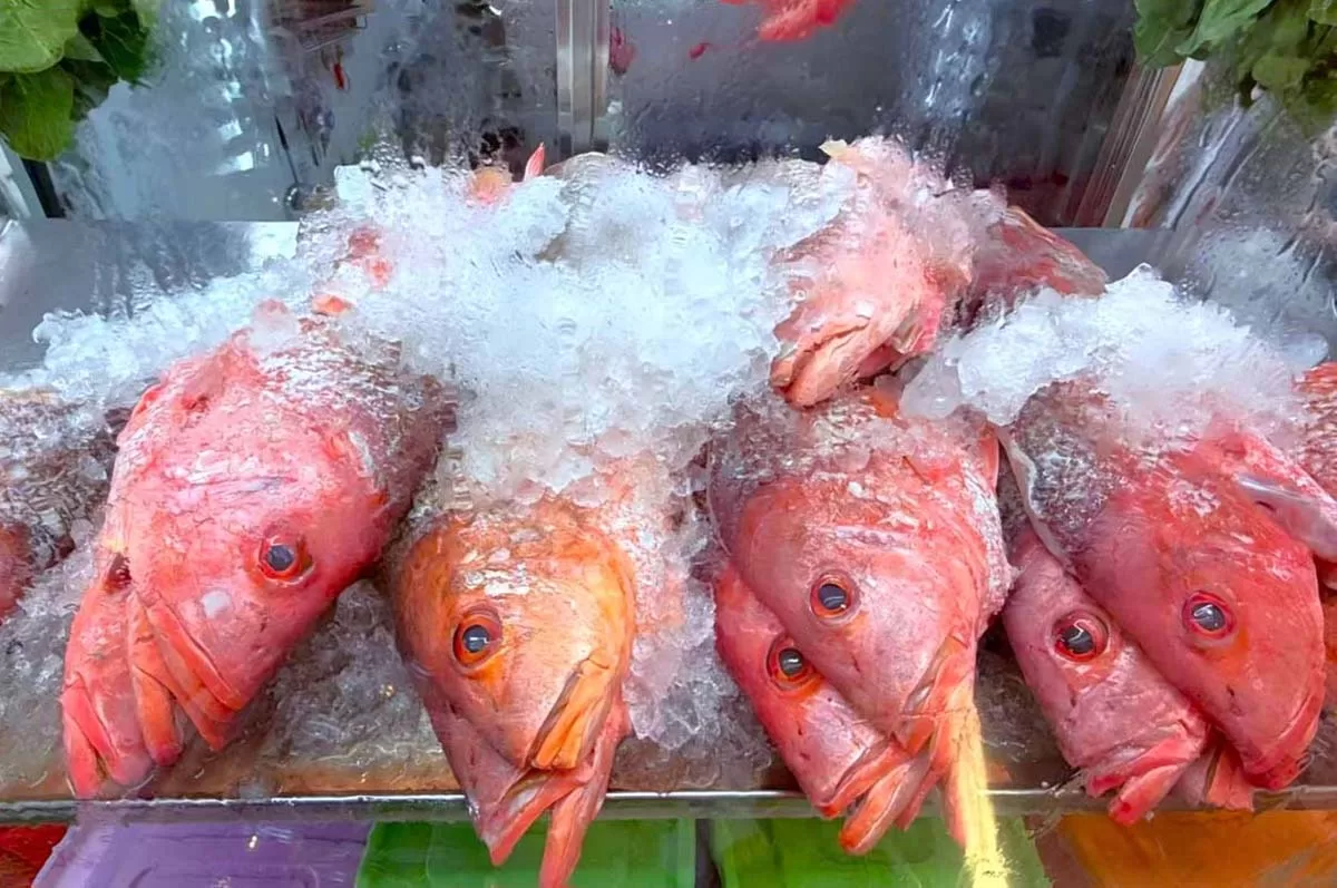Fish heads