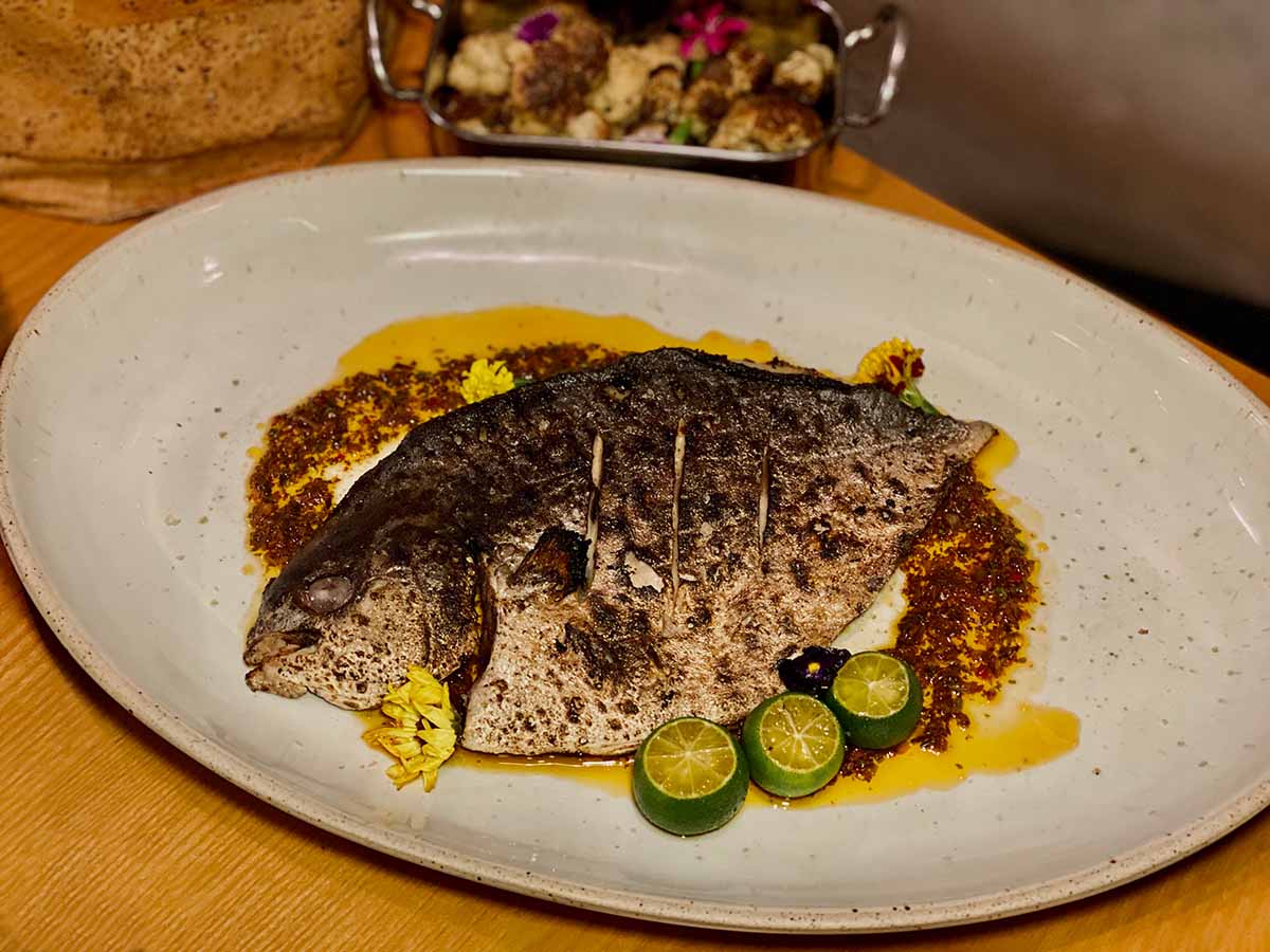 Chara - Golden pomfret