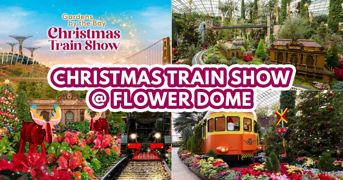 Christmas Train Show - featured image