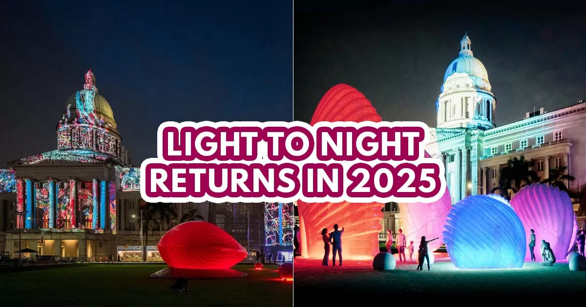 Light to Night 2025 - featured image