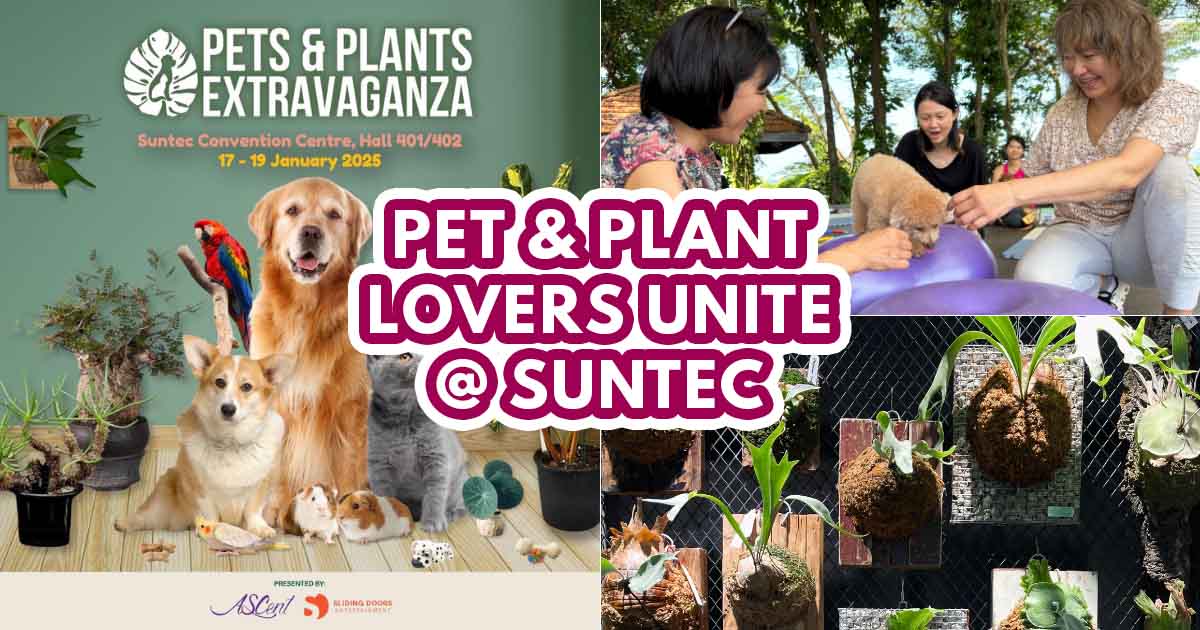 Pets & Plants Extravaganza - featured image