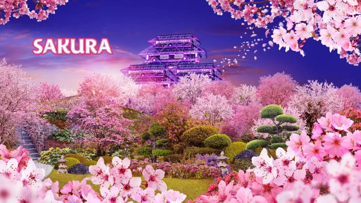 things to do in mar 2025 - gardens by the bay sakura floral display