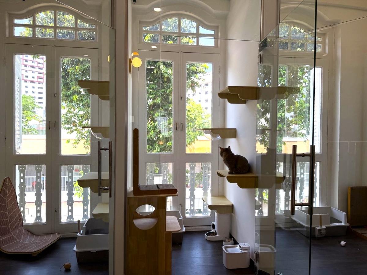 Best Pet Hotels - Kuro Pet Hotel