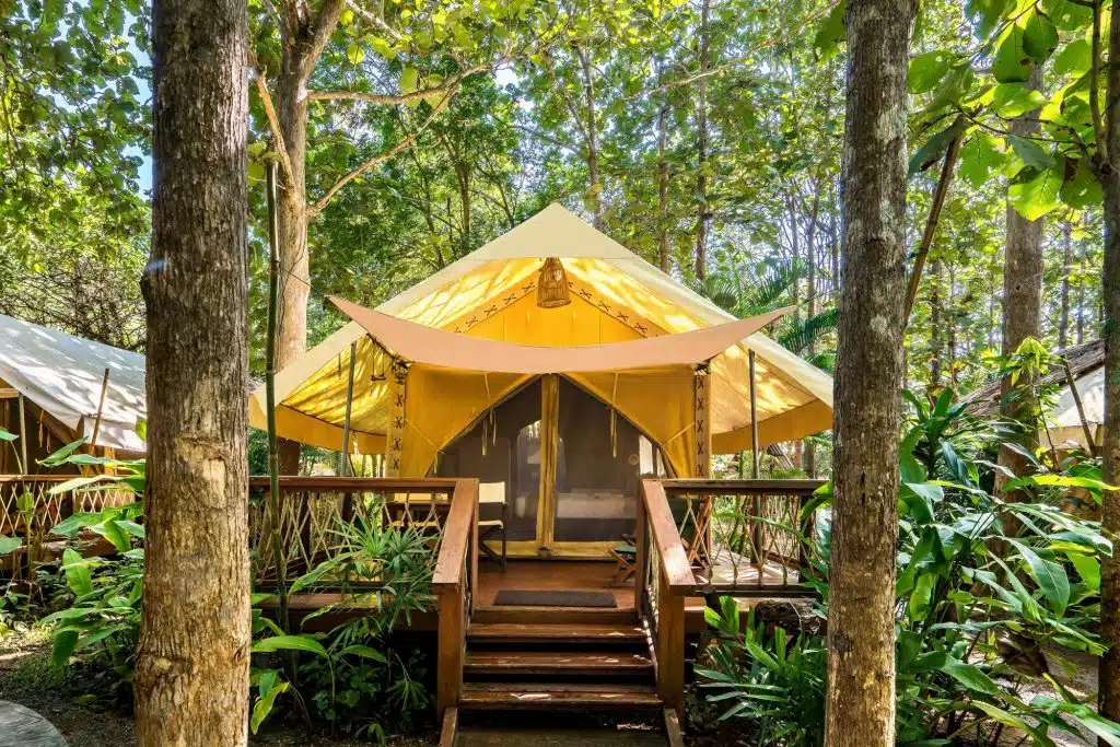 glamping - tent in jungle